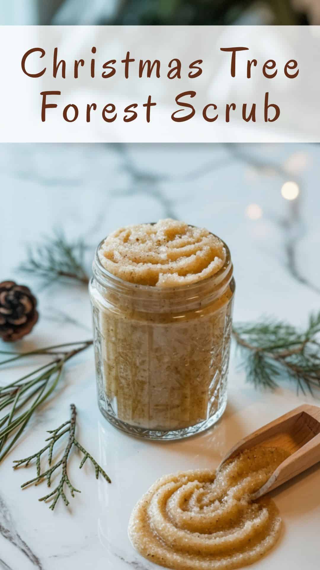 christmas tree forest scrub