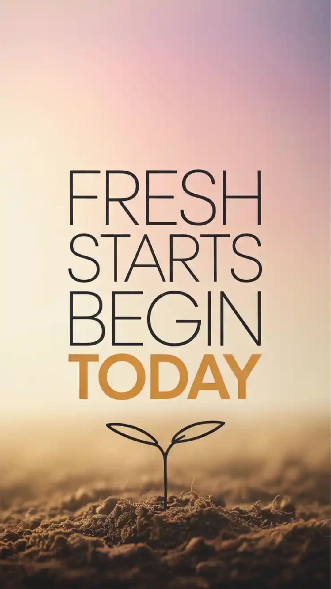 fresh starts begin today